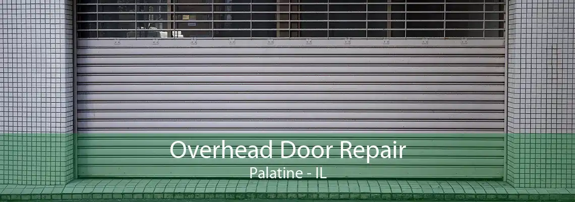 Overhead Door Repair Palatine - IL