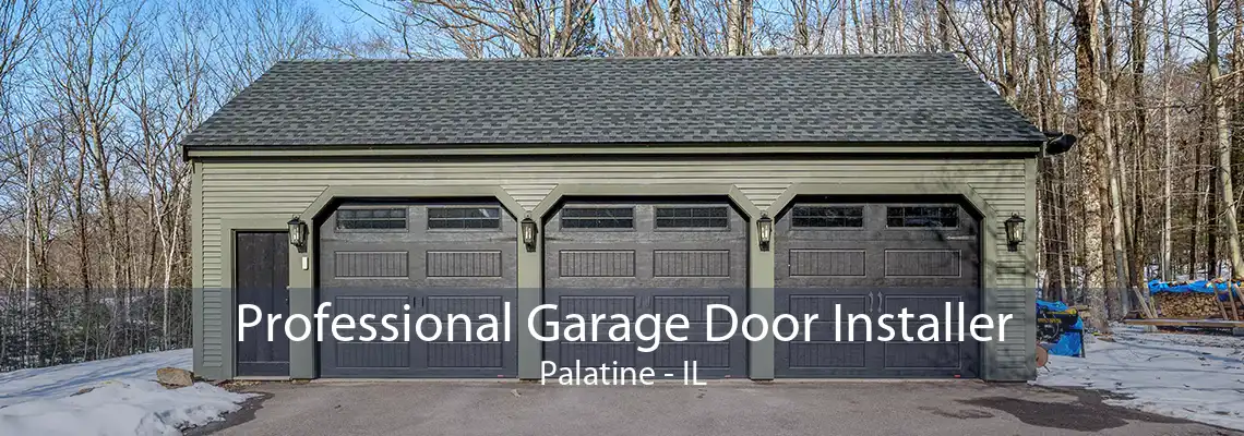 Professional Garage Door Installer Palatine - IL