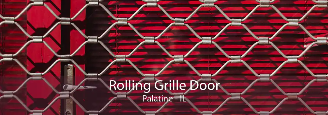 Rolling Grille Door Palatine - IL