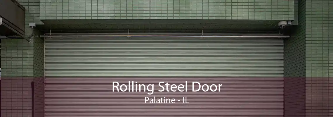 Rolling Steel Door Palatine - IL