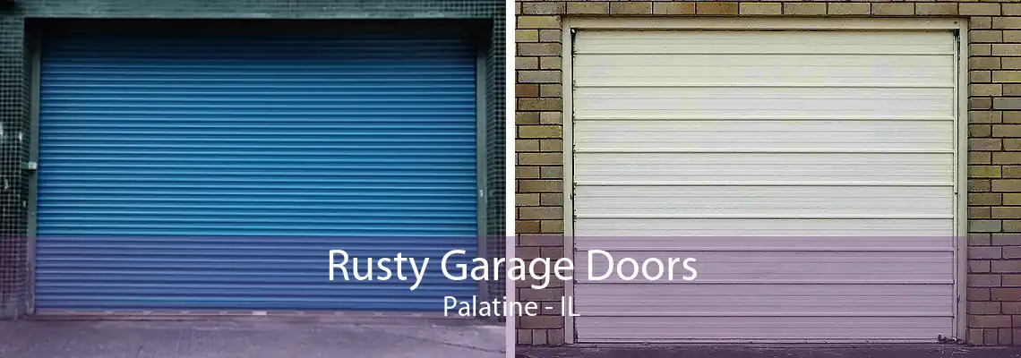 Rusty Garage Doors Palatine - IL