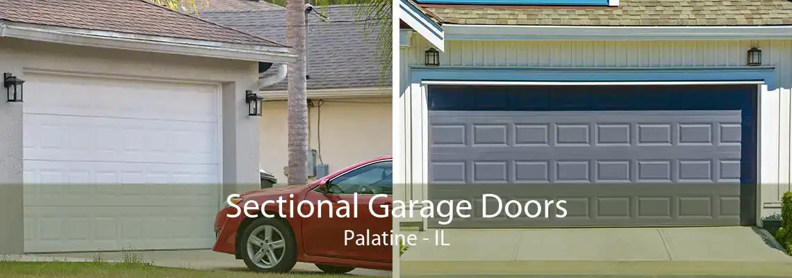 Sectional Garage Doors Palatine - IL