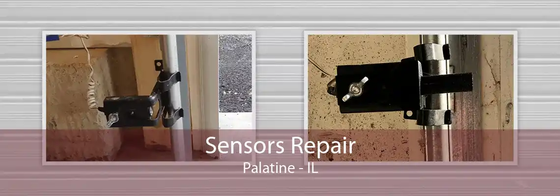 Sensors Repair Palatine - IL